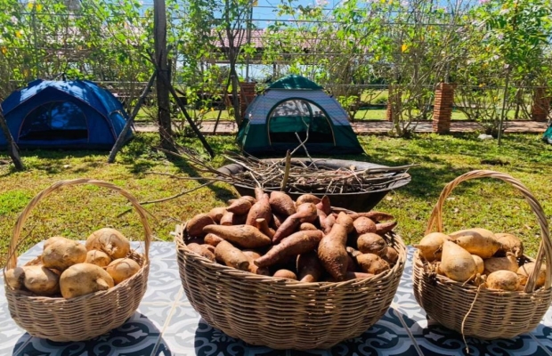 Tent Camping